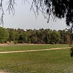 Uva Do Monte - Blueberry Farm